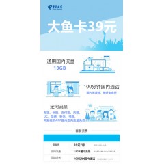 中國電信  大魚卡39元套餐【下訂單，中國郵政快遞包郵到家?！? width=