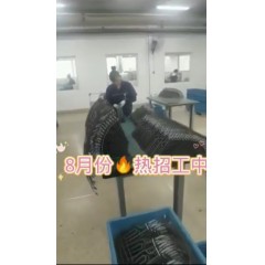 浙江江山電熱棒廠  長白班～兩班倒   男18-55，女18-50周歲