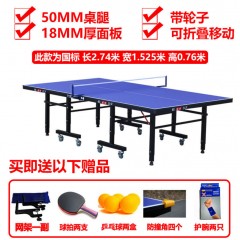 乒乓球桌家用室內標準可折疊兵乓球桌乒乓桌專業(yè)乒乓球臺案子