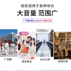 手提話(huà)筒音響 迷你低音炮 無(wú)線(xiàn)藍(lán)牙音箱 戶(hù)外便攜廣場(chǎng)舞