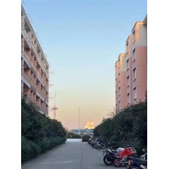 南京中電熊貓晶體  招聘：男18-35周歲，女18-40周歲。