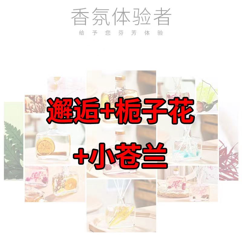 香薰家用室內(nèi)臥室?guī)諝夥块g除臭衛(wèi)生間熏香持久香水香氛清新劑